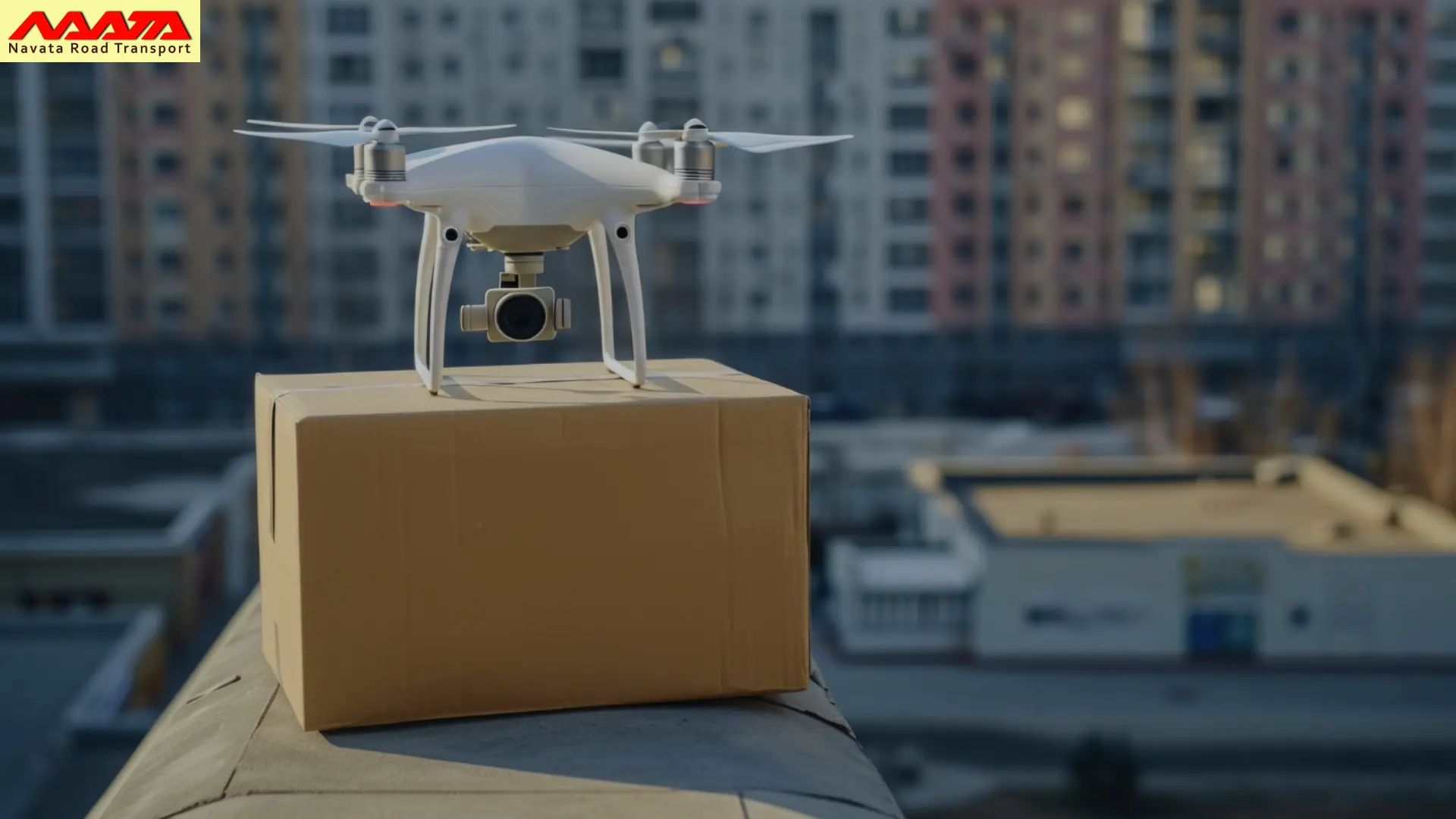 Drones Delivery